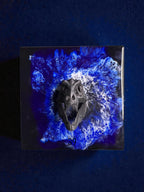 A dark gray Tyrannosaurus Rex skull sculpture mounted on a square, glossy black base with a blue and white abstract design. The number "39" is visible on the base.