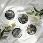 Five round coasters with abstract designs in black, gold, and white, arranged on a white surface. The coasters have a glossy finish and are surrounded by white lilies. The text "ART STUDIO 39" is visible.