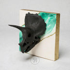 A black triceratops skull sculpture mounted on a square, white background with teal and gold accents. The edges of the square are gold. The sculpture is a unique piece of art.